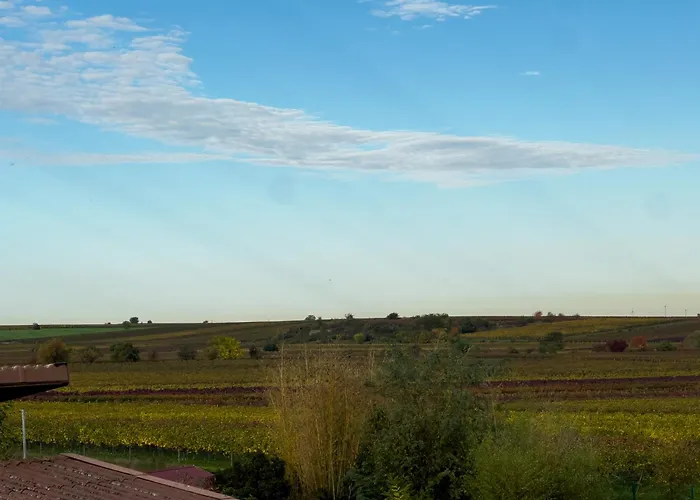 Restaurant Traube Hotel